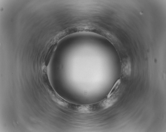 X0000062140574200512091218