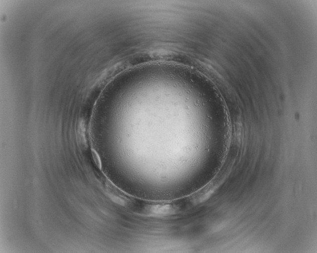 X0000062140575200512091218