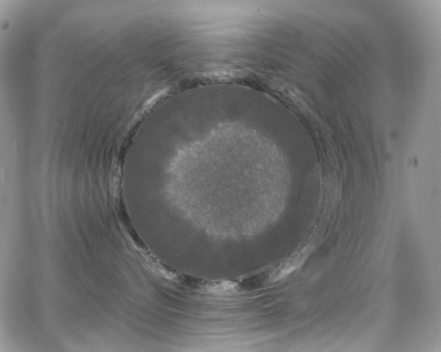 X0000062140576200512091218