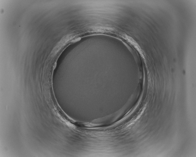 X0000062140577200512091217