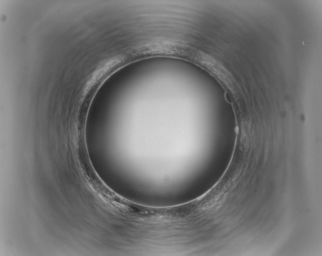 X0000062140578200512091217