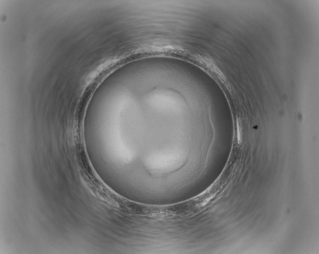 X0000062140579200512091217