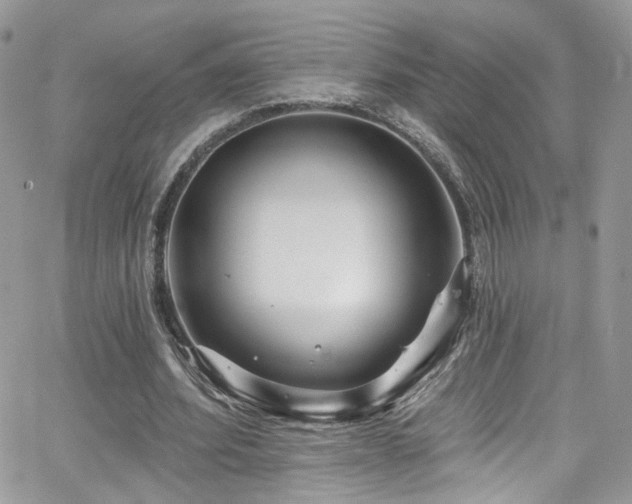 X0000062140580200512091217