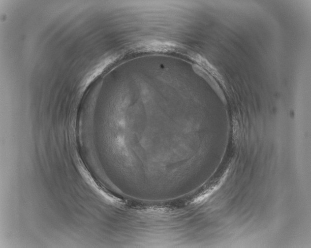 X0000062140581200512091217