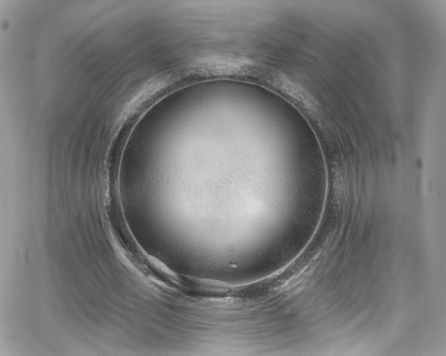 X0000062140582200512091217