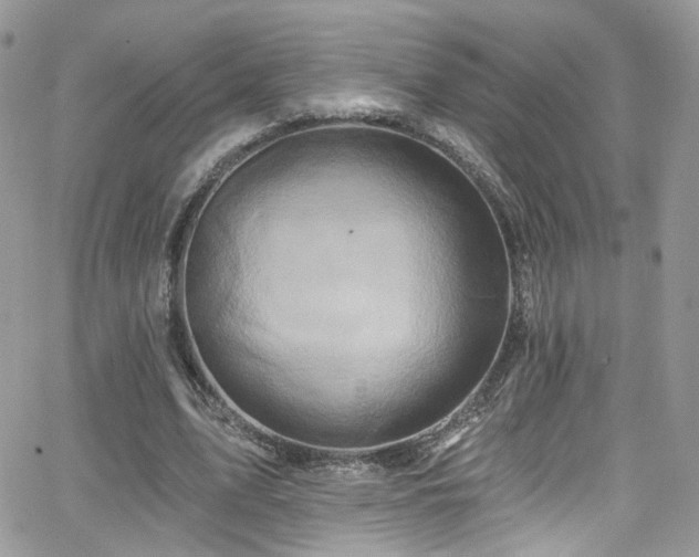 X0000062140583200512091217