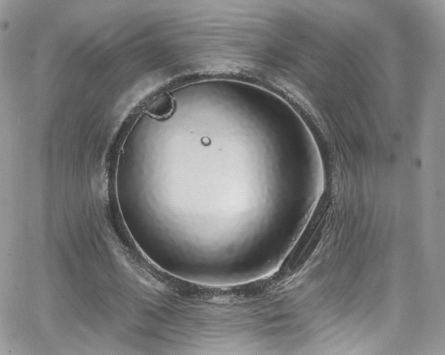 X0000062140584200512091217