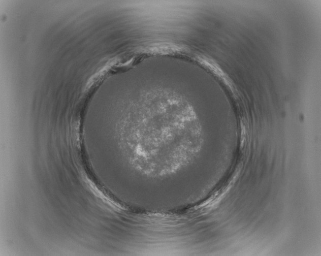 X0000062140585200512091217