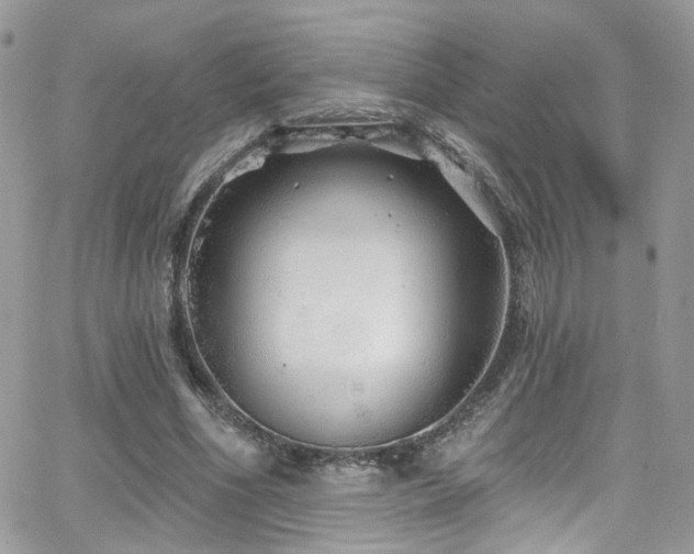 X0000062140586200512091217