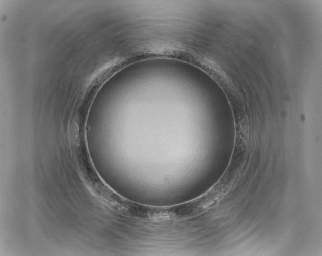 X0000062140587200512091217