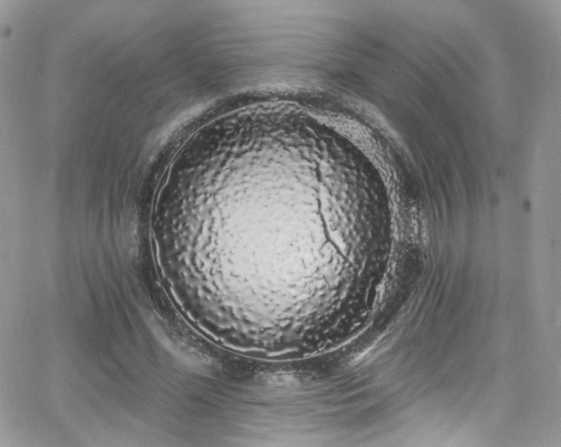 X0000062140588200512091217