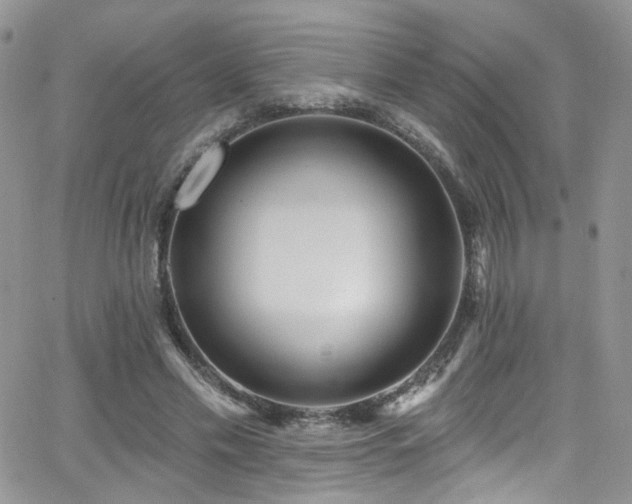 X0000062140589200512091217