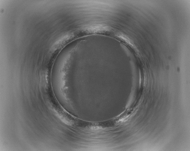 X0000062140590200512091217