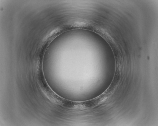 X0000062140591200512091217