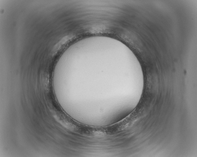 X0000062140592200512091217