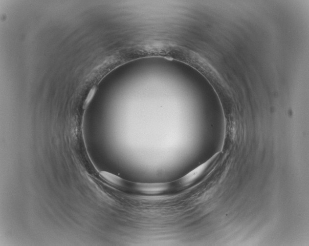 X0000062140593200512091217