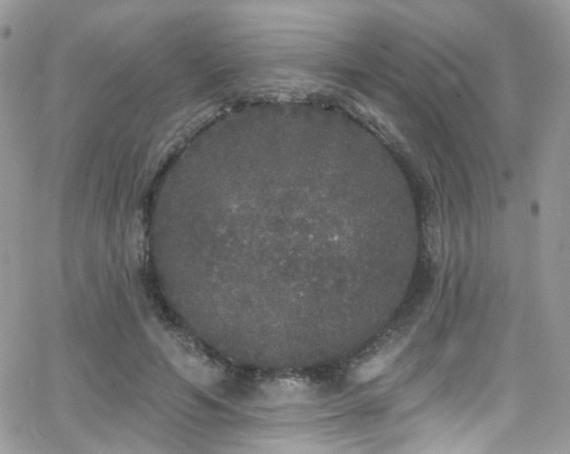 X0000062140594200512091217