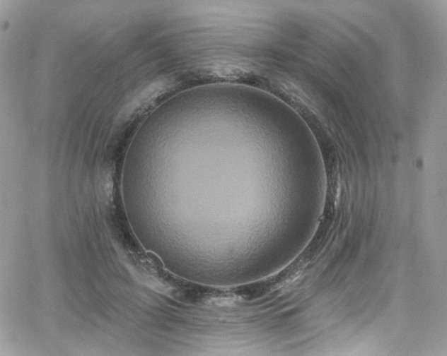 X0000062140595200512091217