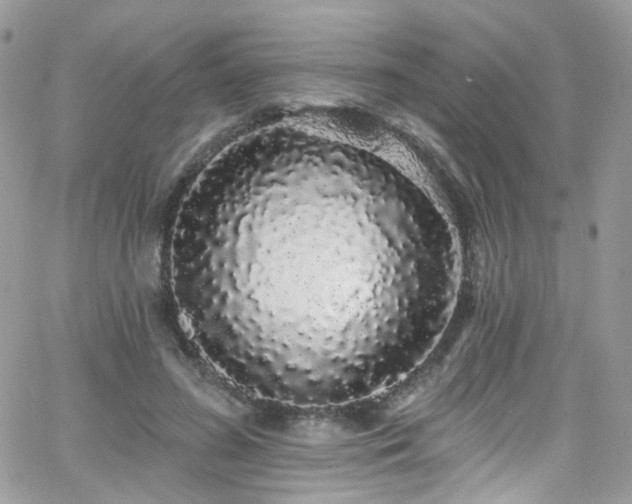 X0000062140596200512091217