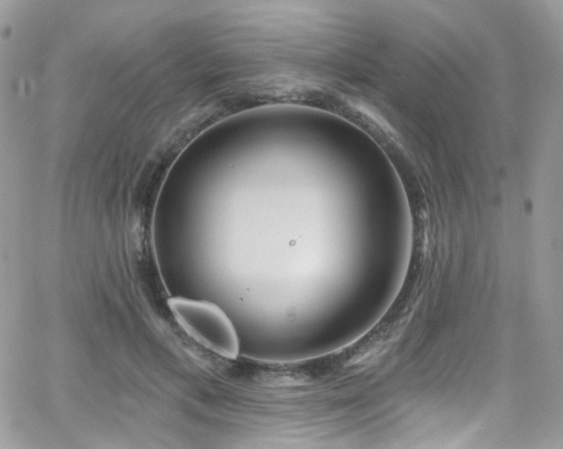 X0000062140597200512091217