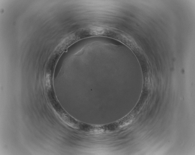 X0000062140598200512091217