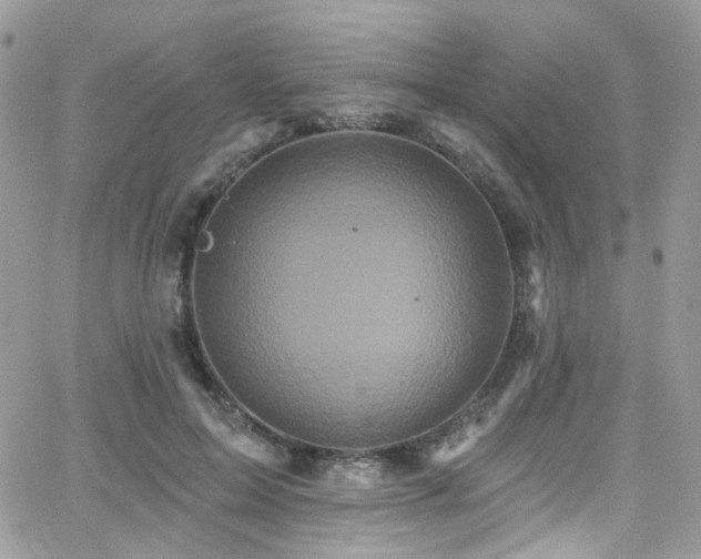 X0000062140599200512091217