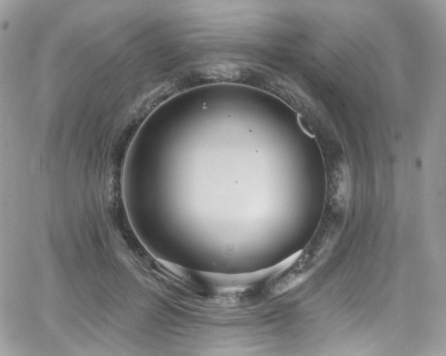 X0000062140600200512091217