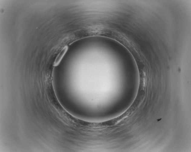 X0000062140601200512091217