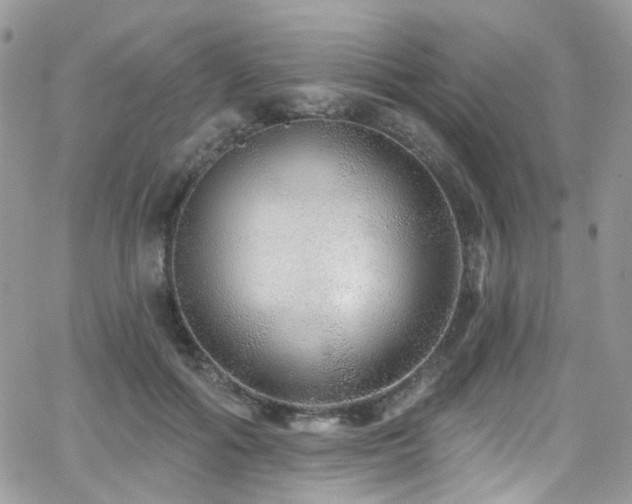 X0000062140602200512091217