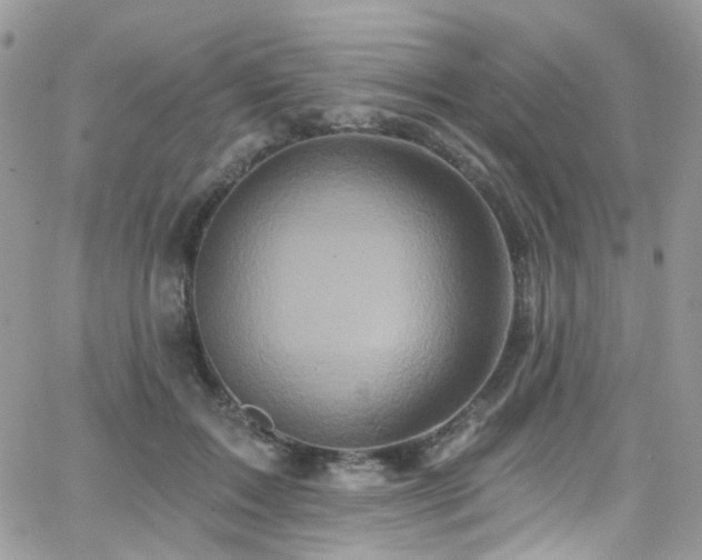 X0000062140603200512091217