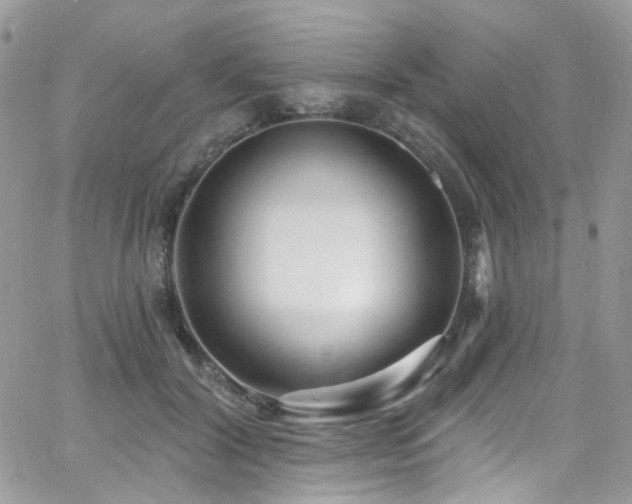 X0000062140604200512091217