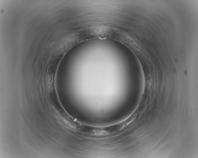 X0000062140605200512091217