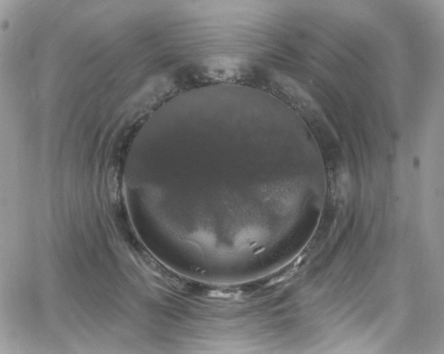 X0000062140606200512091217