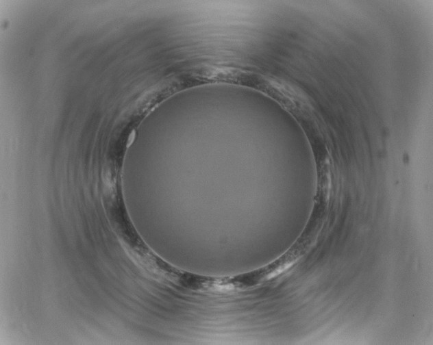 X0000062140607200512091217