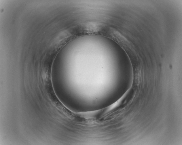 X0000062140608200512091217