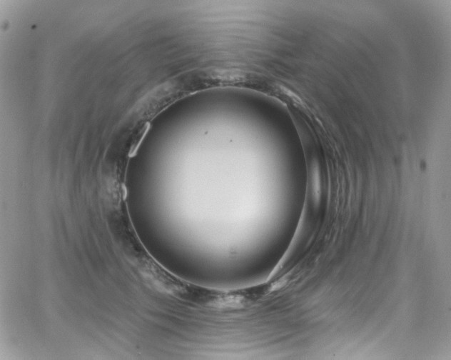 X0000062140609200512091217