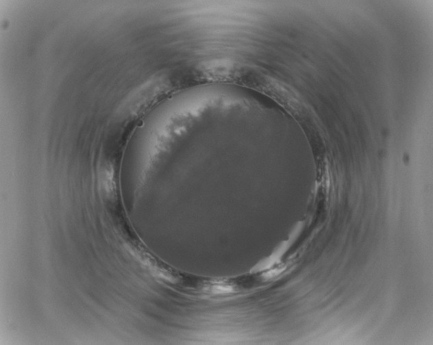 X0000062140610200512091217