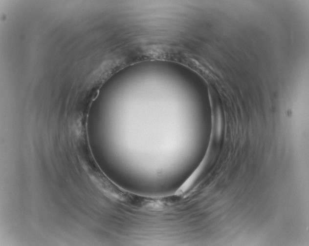 X0000062140611200512091217