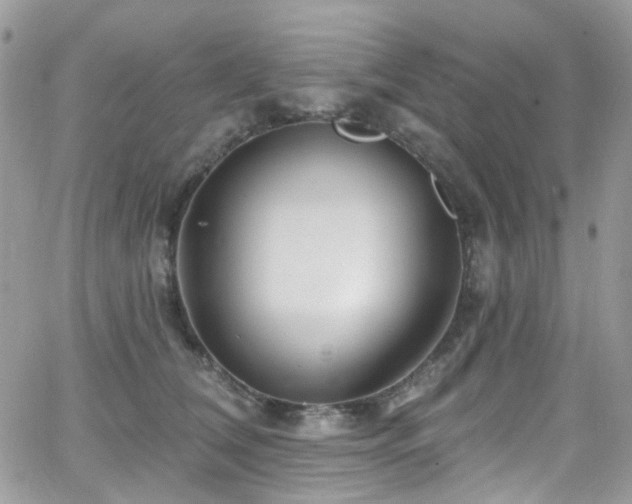 X0000062140612200512091217