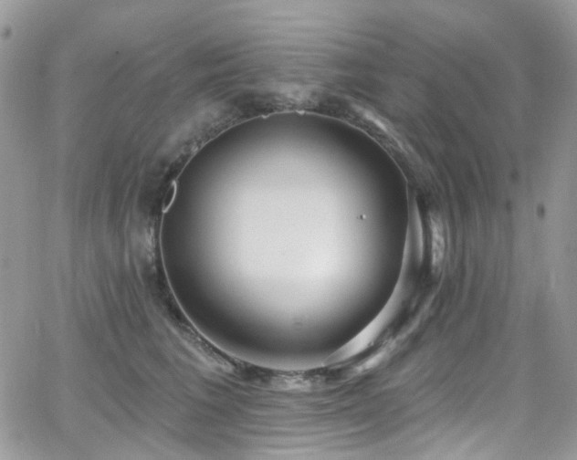 X0000062140613200512091217