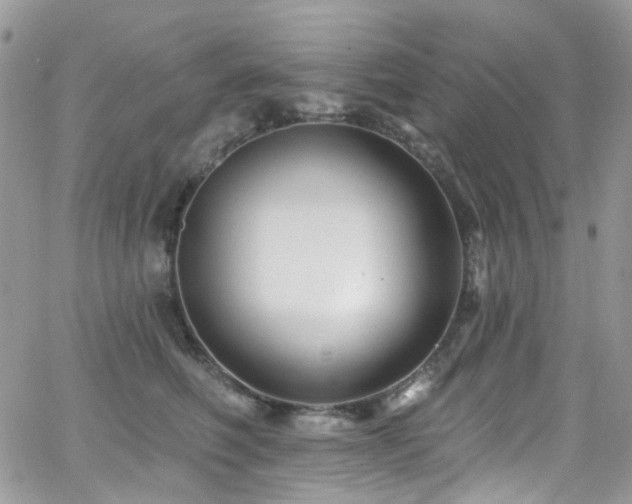 X0000062140614200512091217