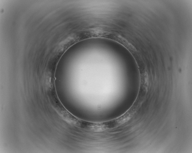 X0000062140615200512091217