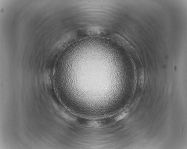 X0000062140616200512091217