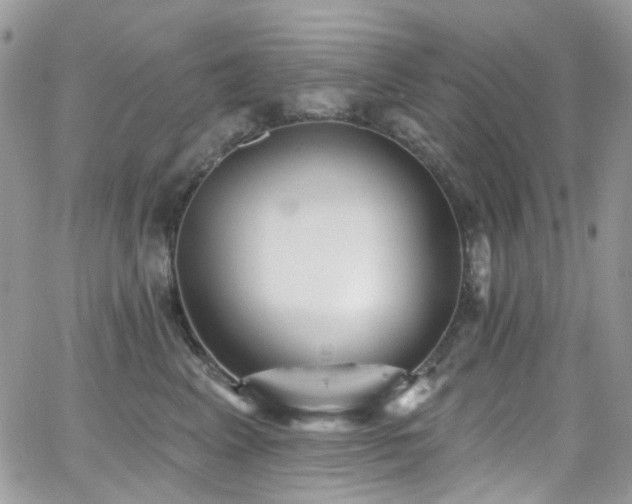 X0000062140617200512091217