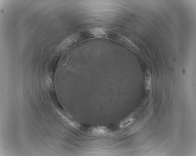 X0000062140618200512091217