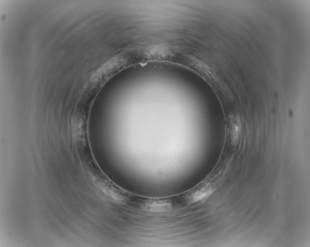 X0000062140619200512091217