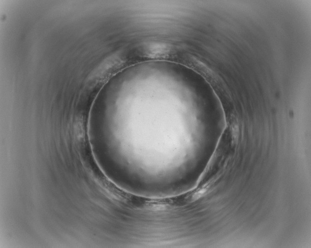 X0000062140620200512091217