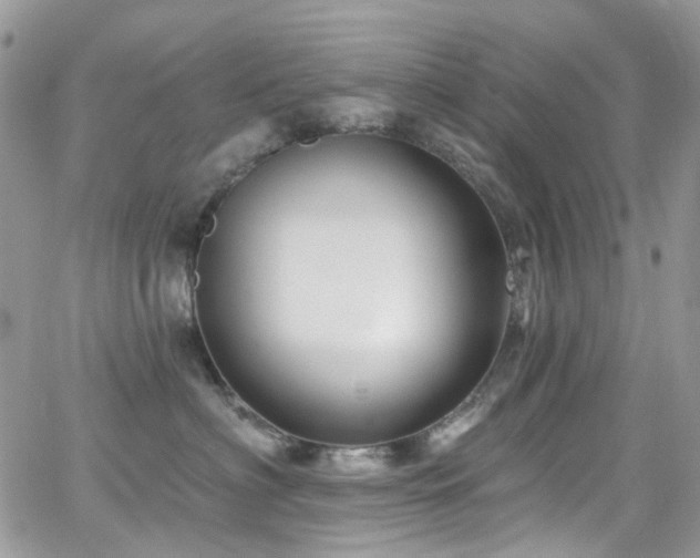 X0000062140622200512091217