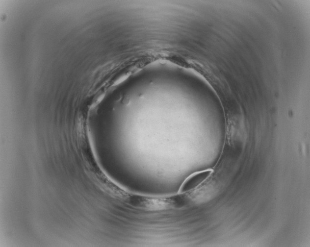 X0000062140623200512091216