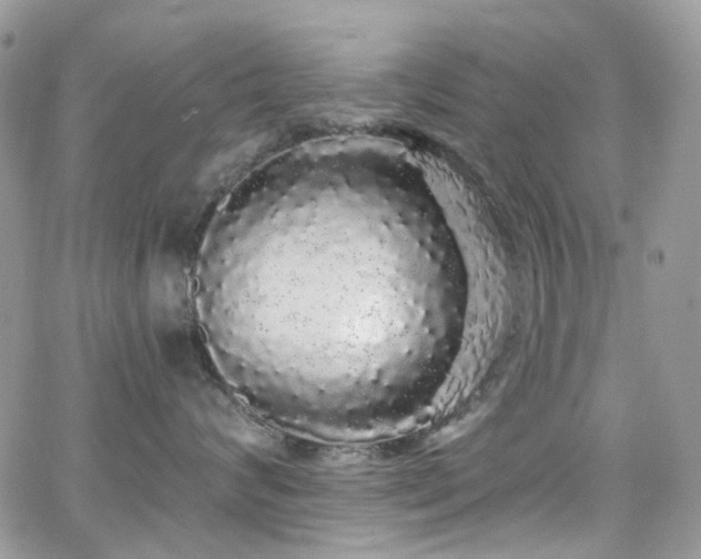 X0000062140624200512091216